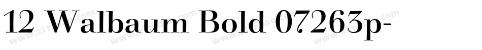 12 Walbaum Bold 07263p字体转换